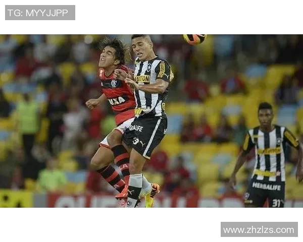 博塔弗戈与沙佩科恩斯比赛前瞻及胜负预测分析